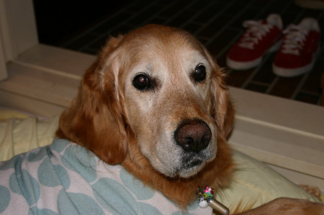 ファイル 1459-2.jpg