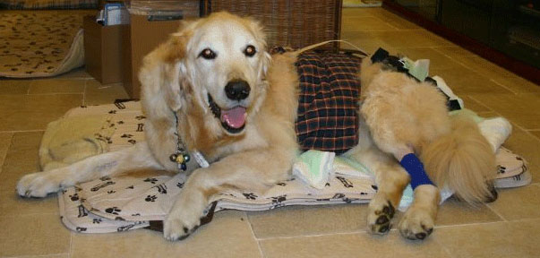 ファイル 146-2.jpg