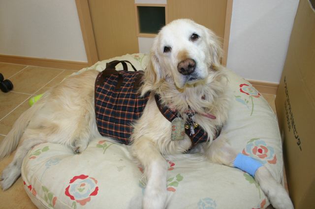 ファイル 146-3.jpg