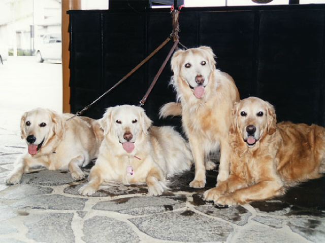 ファイル 146-4.jpg