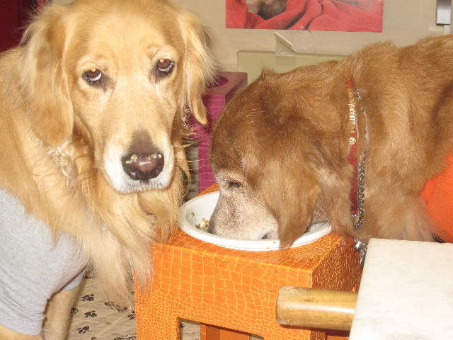 ファイル 1462-5.jpg