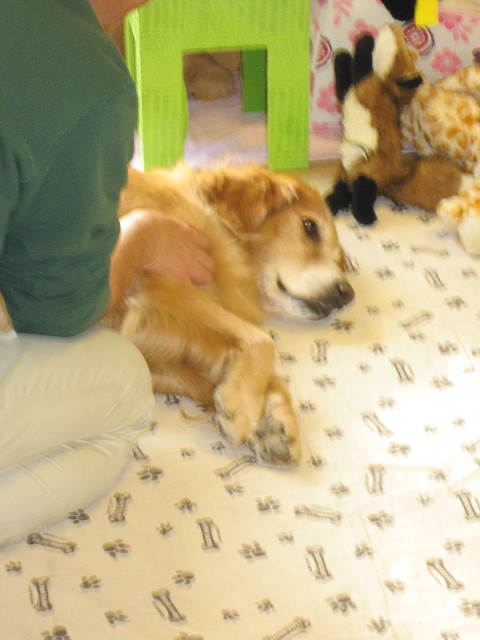 ファイル 1464-2.jpg