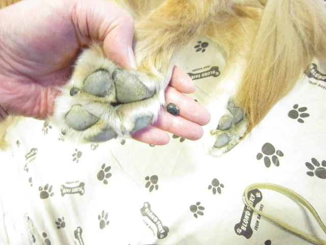 ファイル 1464-3.jpg