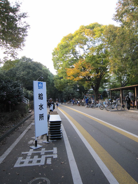 ファイル 1466-3.jpg