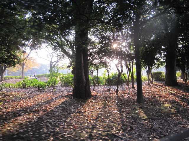 ファイル 1466-4.jpg