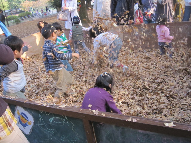 ファイル 1466-5.jpg