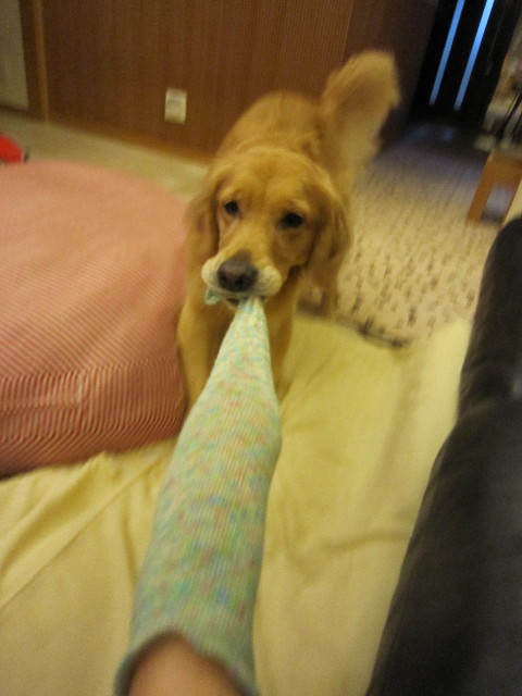 ファイル 1468-1.jpg