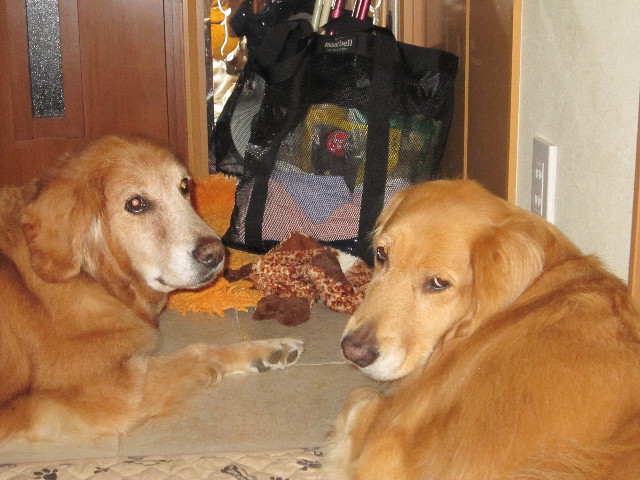 ファイル 1469-2.jpg