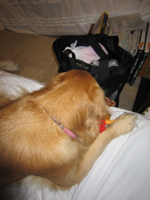 ファイル 1469-3.jpg