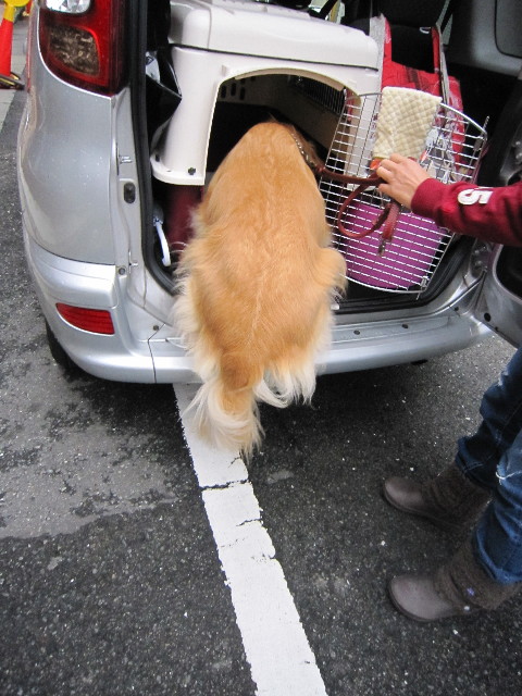 ファイル 1469-4.jpg