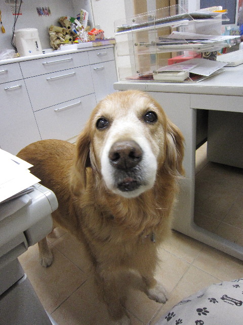 ファイル 1469-5.jpg