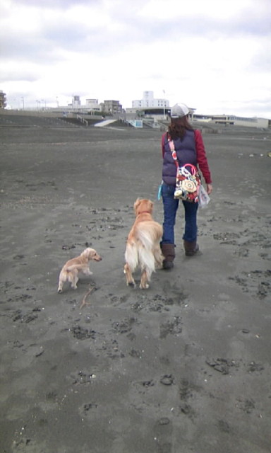 ファイル 1470-1.jpg