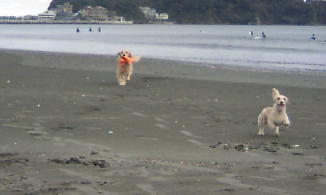 ファイル 1470-2.jpg