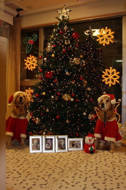 ファイル 1473-1.jpg