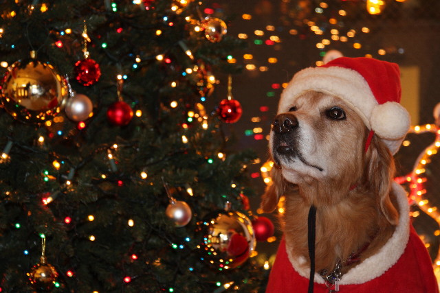 ファイル 1473-2.jpg