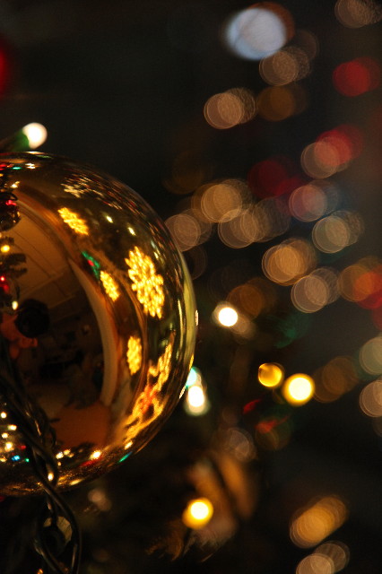 ファイル 1474-3.jpg