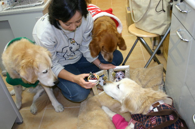 ファイル 1475-2.jpg