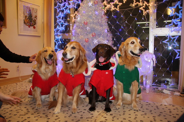 ファイル 1477-2.jpg