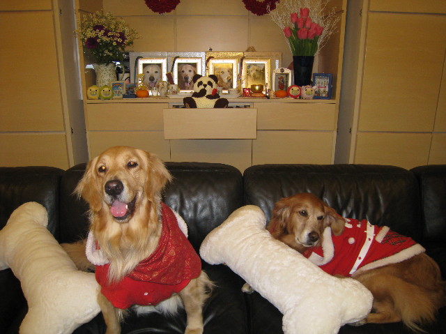 ファイル 1477-4.jpg