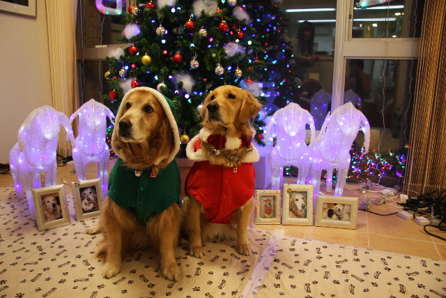 ファイル 1478-2.jpg