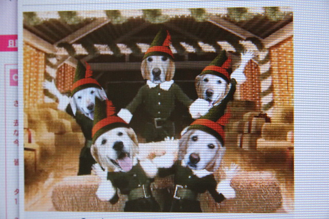 ファイル 1478-3.jpg