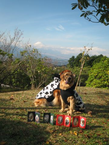 ファイル 148-1.jpg