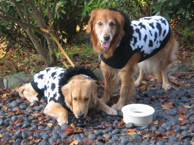 ファイル 148-5.jpg