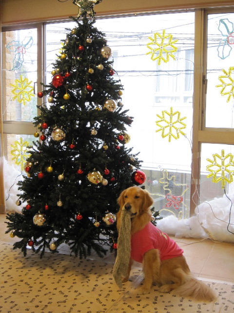 ファイル 1480-2.jpg