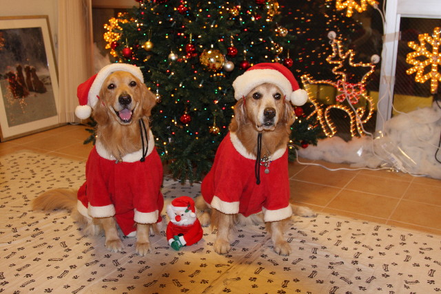 ファイル 1481-2.jpg