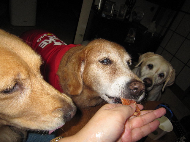 ファイル 1482-1.jpg