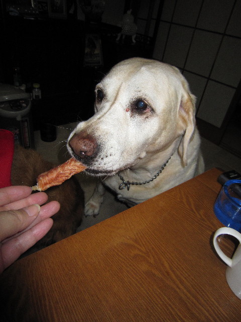 ファイル 1482-3.jpg