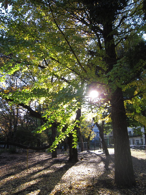 ファイル 1482-4.jpg