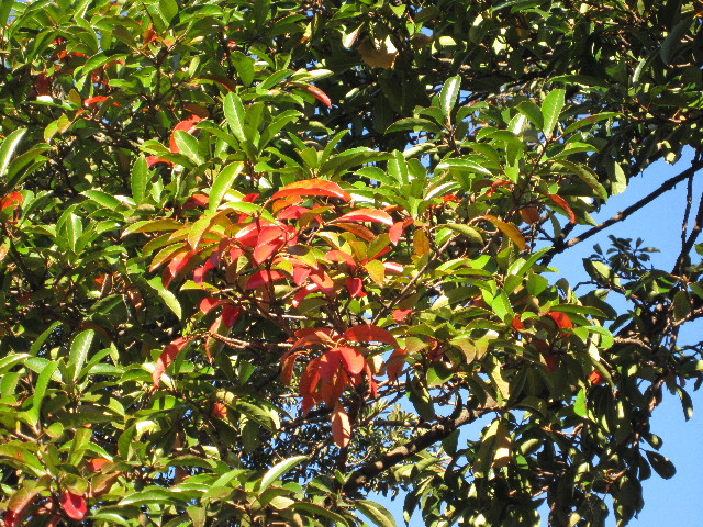 ファイル 1482-5.jpg