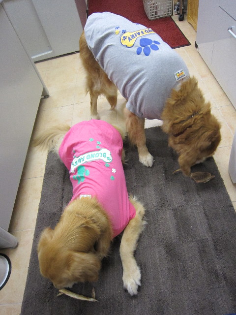 ファイル 1483-1.jpg