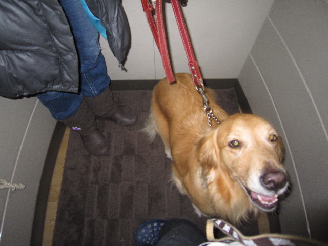 ファイル 1483-5.jpg