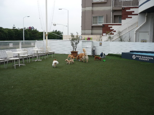 ファイル 1484-1.jpg