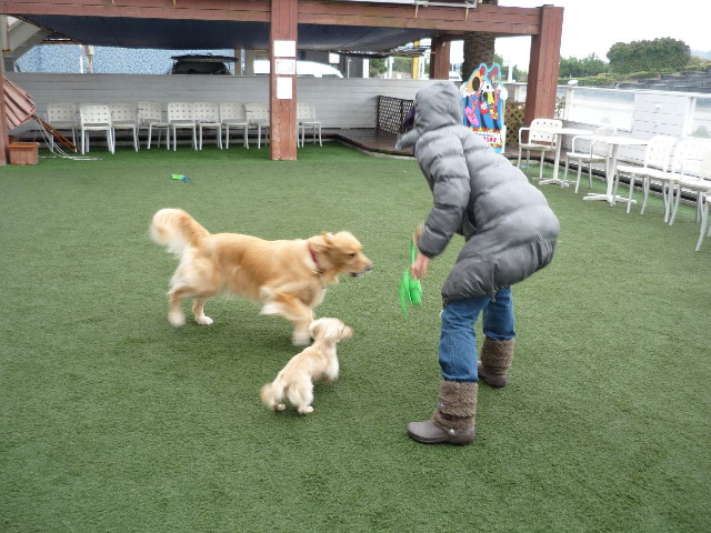 ファイル 1484-2.jpg