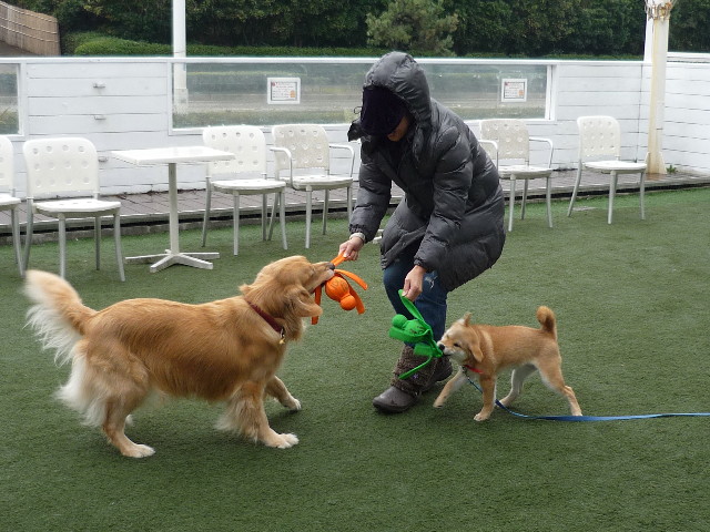 ファイル 1484-3.jpg