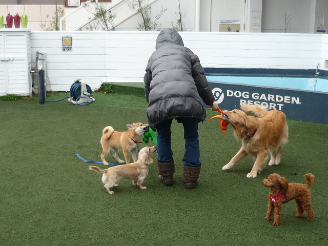 ファイル 1484-4.jpg