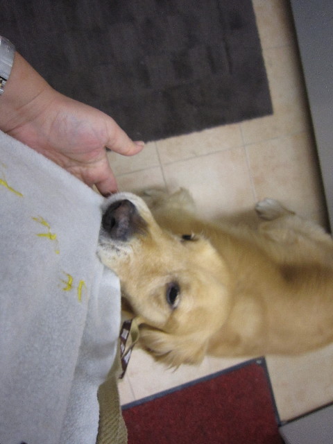 ファイル 1485-1.jpg