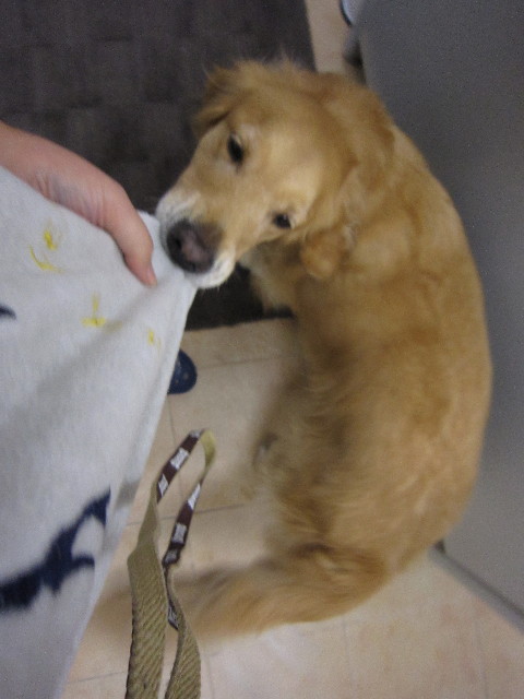 ファイル 1485-2.jpg