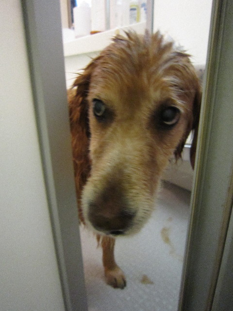 ファイル 1485-4.jpg