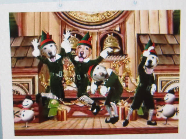 ファイル 1486-1.jpg