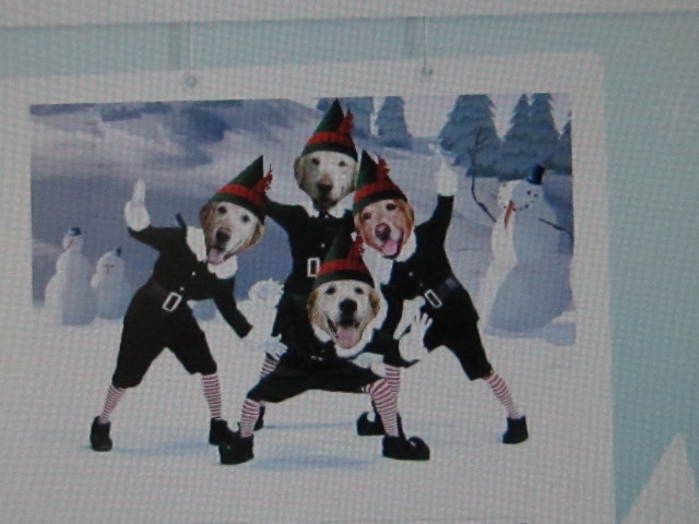 ファイル 1486-3.jpg