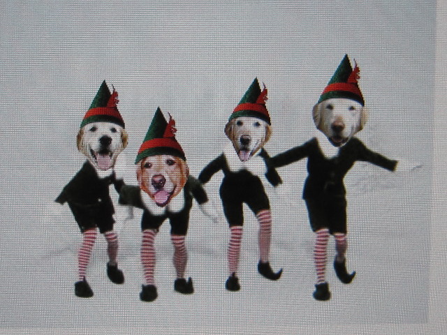 ファイル 1486-5.jpg