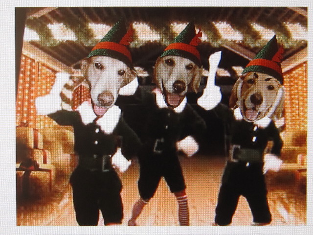 ファイル 1487-1.jpg