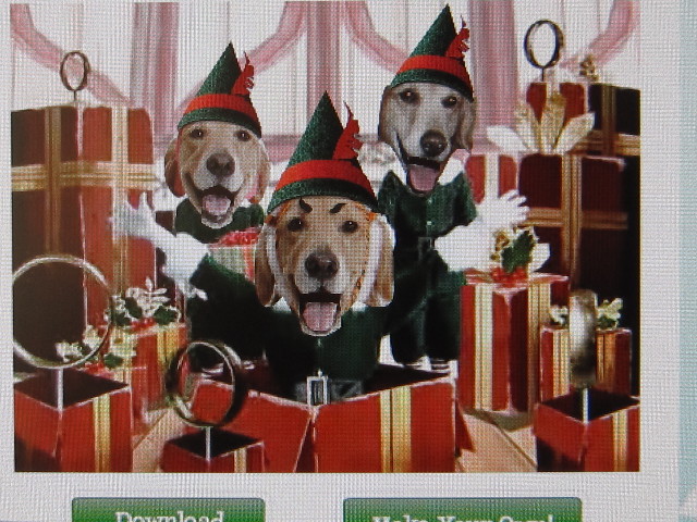 ファイル 1487-2.jpg