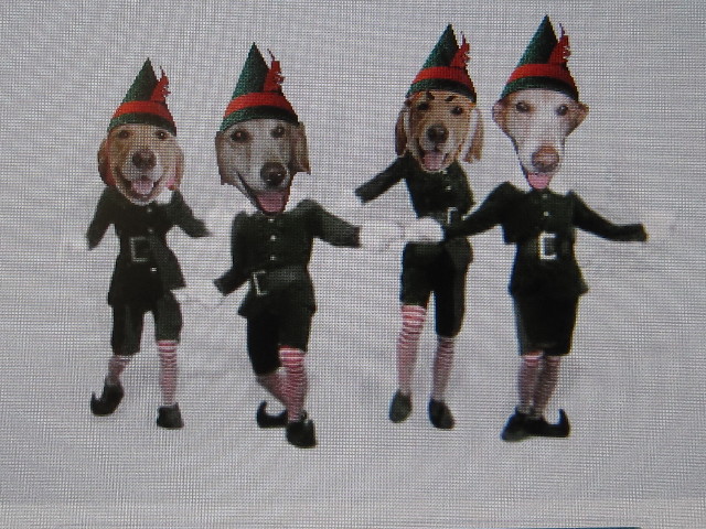 ファイル 1487-5.jpg