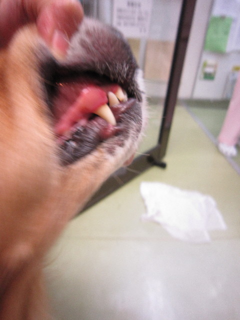 ファイル 1488-3.jpg