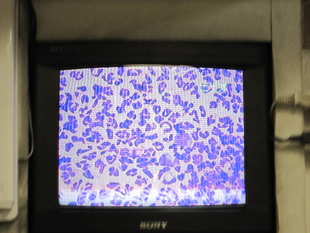 ファイル 1488-4.jpg